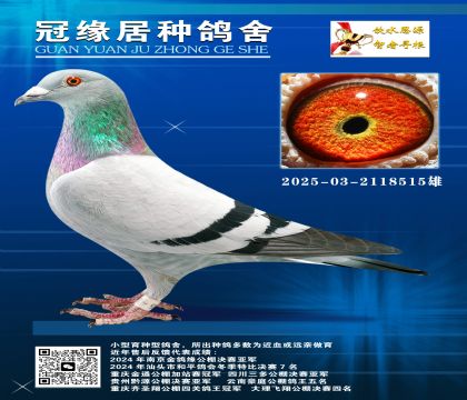 俼һSH03-2118515