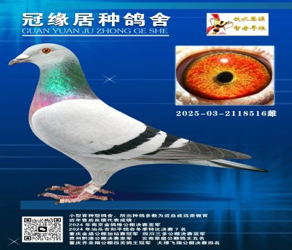 俼һSH03-2118516
