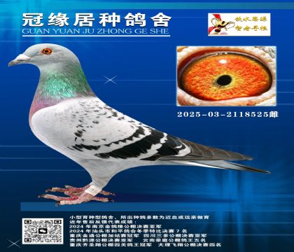 phpƸĸǘO˻Ѫ03-2118525