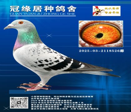 phpƸĸǘO˻Ѫ03-2118526
