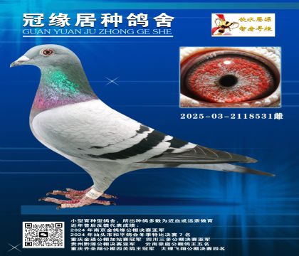 һNیOOŮ03-2118531