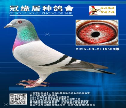 俼ɣʿ03-2118539