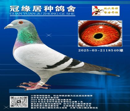 俼ɣʿ03-2118540