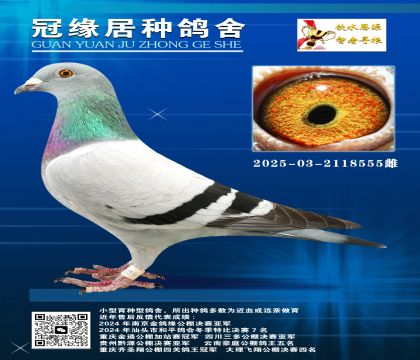 zֱӰͼ{h(yun)H03-2118555