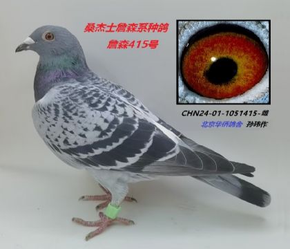 CHN24-01-1051415