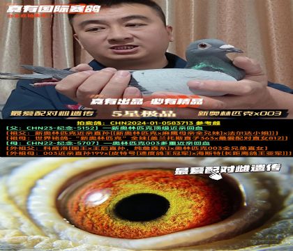 䌦(du)zWƥx003