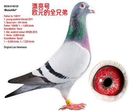 WԪȫֵ-Ư̖(ho)