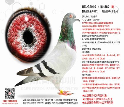 游
