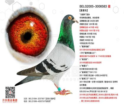 游