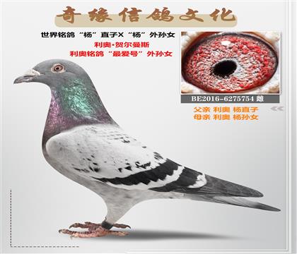 ĸH