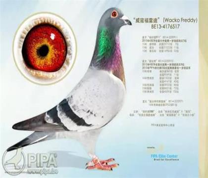 游ܸ׵
