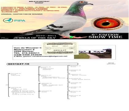 ĸ098ֱŮ