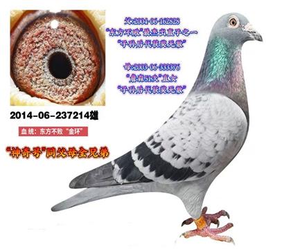 2828ֱ