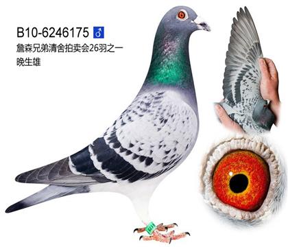 游10