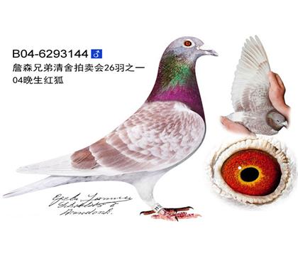 游04t