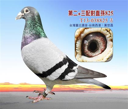 游