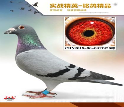 S䷲