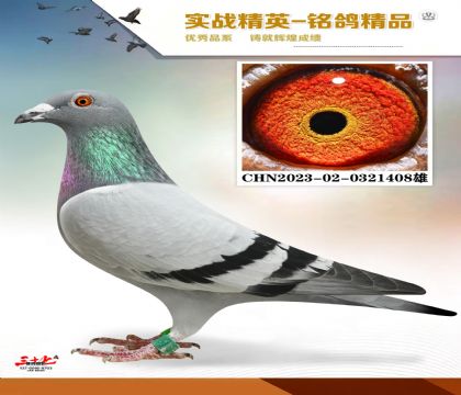 o295Ѫy(tng)