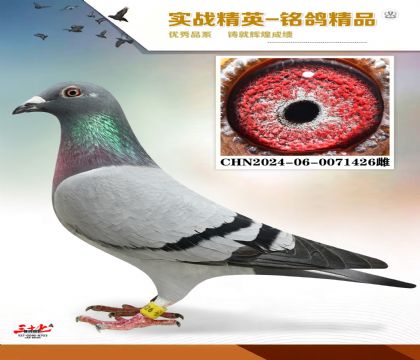 ɣʿ