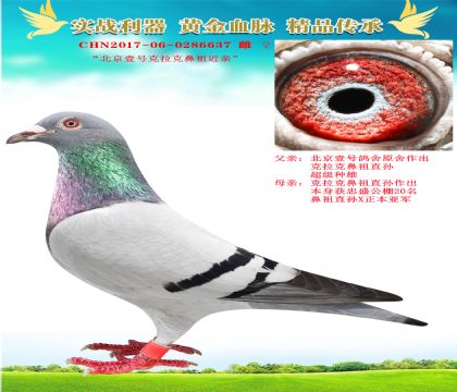 Ҽ̖˱H