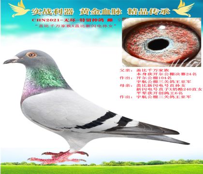 wǧfXWֱOŮ