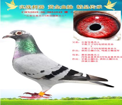 ʯɣʿXSɣʿ