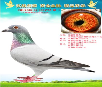 ɣʿH