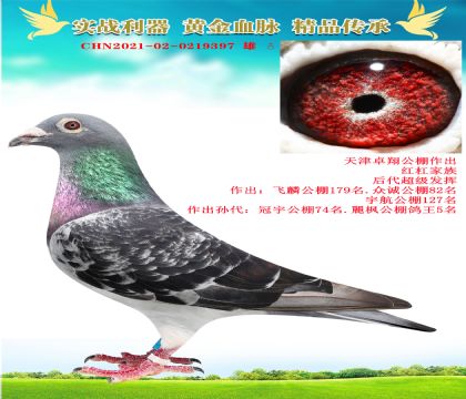 ׿蹫tܡ