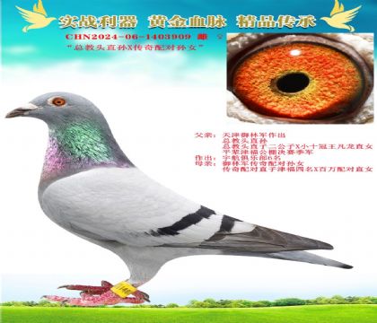 ^ֱOX䌦OŮ
