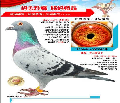 mԭ䌦 929̖