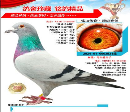 Ѫy(tng) 931̖