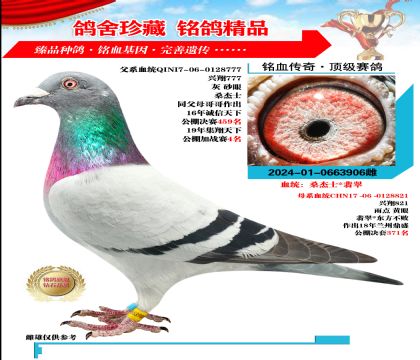 ɣʿ 䡰 d777Xd821