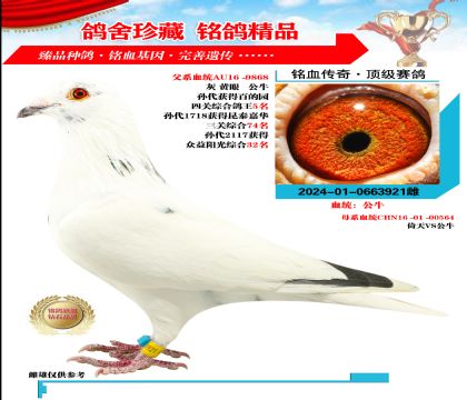 Xţ 921̖