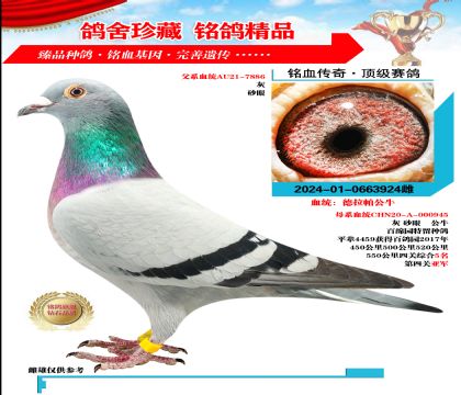 Ѫy(tng)