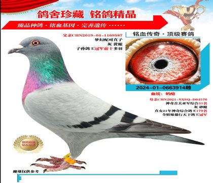 S䌦ҡѪϵ