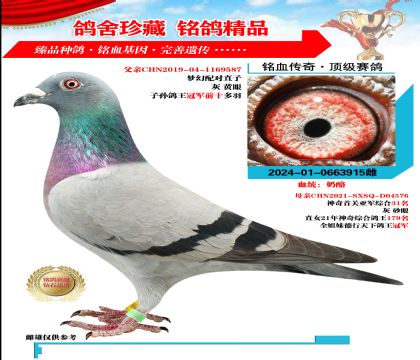 䌦 Ѫy(tng)