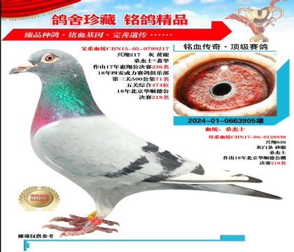 ɣʿ d217Xd838 S䌦