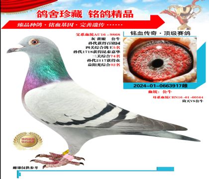 Xţ Ѫϵ
