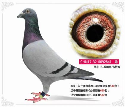 |贺500Qِ532   	