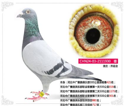 ͢(hu)--ӱЏVِ㘷P(gun)C717   	