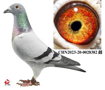 500̖OŮ