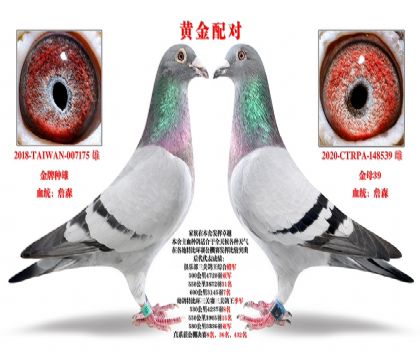 S䌦ղɭ