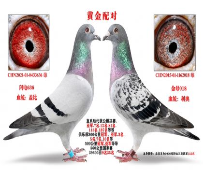 S䌦wxW
