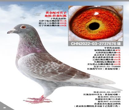 S䌦ֱӣղɭt