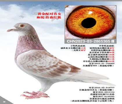 S䌦ֱŮղɭt