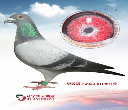 wȡƯ?sh)ϡXmū fȫ