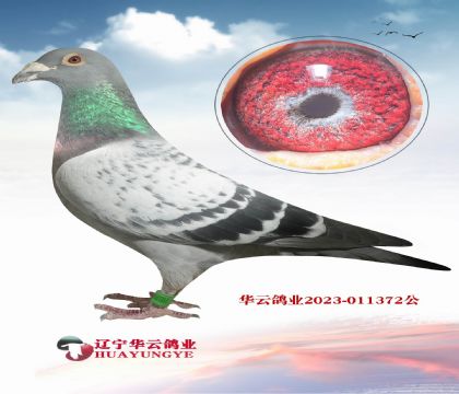 W(j)_ֱӡOXСϿֱO