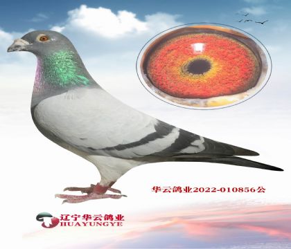 h(hun)N ǳ߼(j)w