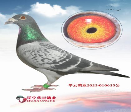 СϿֱOŮ651ֱXֱŮ