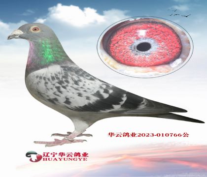 ֪ F(xin)ڵĜu݆_жÆ
